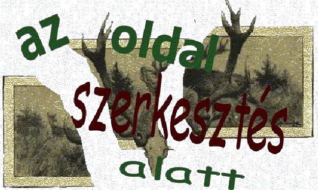 Az oldal ppen szerkeszts alatt van